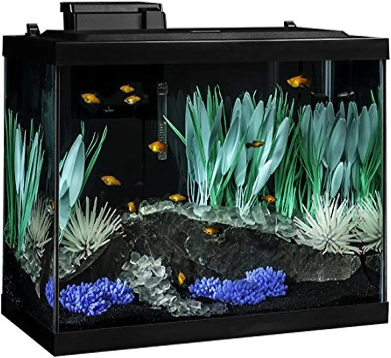 20 Gallon Aquarium Kit with LED Lighting and Decor
