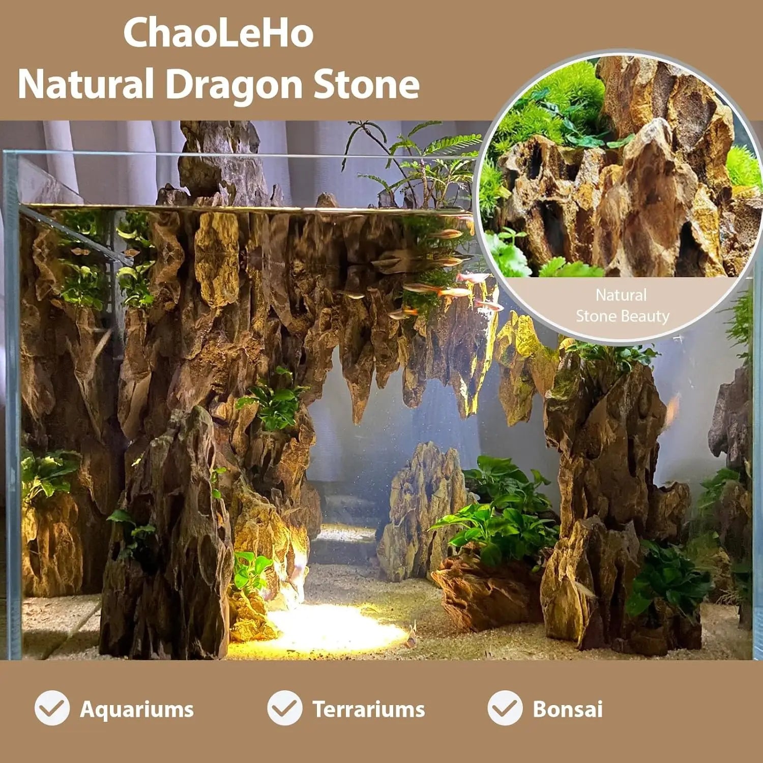 Natural Dragon Stones for Aquarium Decor
