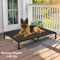 Elevated Dog Bed