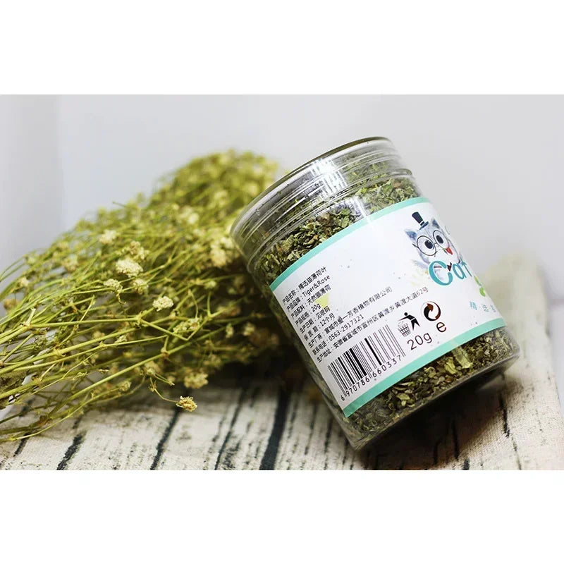 Catnip Cattle Grass Organic