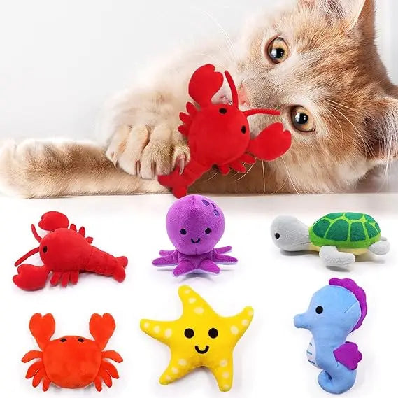 Catnip Toys Cats Kitten Interactive Toys