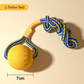 Dog Toys 4 Pack  Flying Disc + Ball + Tug Rope