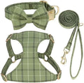 Extra Small Dog Harness & Leash Set with Bow

SEO optimized: small dog harness se