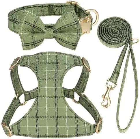 Extra Small Dog Harness & Leash Set with Bow

SEO optimized: small dog harness se