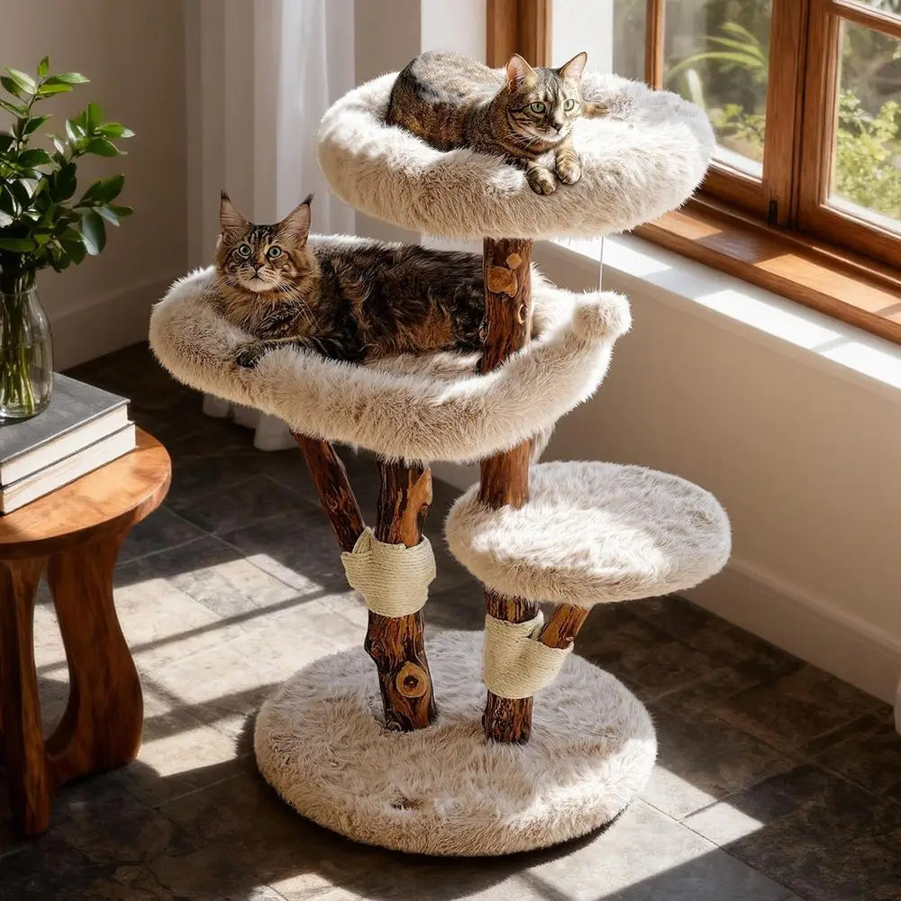 Aesthetic Cat Tree Tower