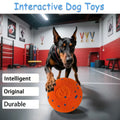 Interactive Dog Toy with Automatic Movement