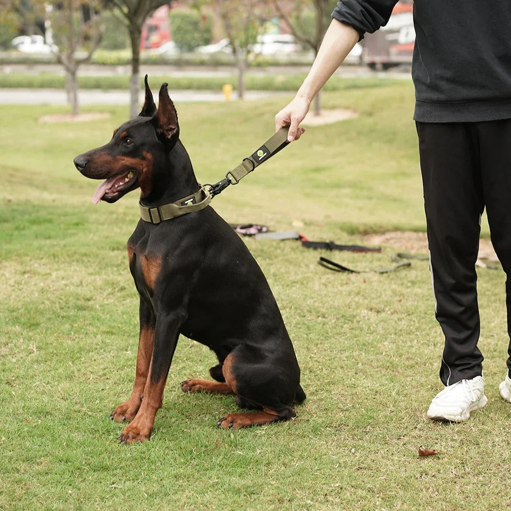 Short Dog Leash for high Traffic areas