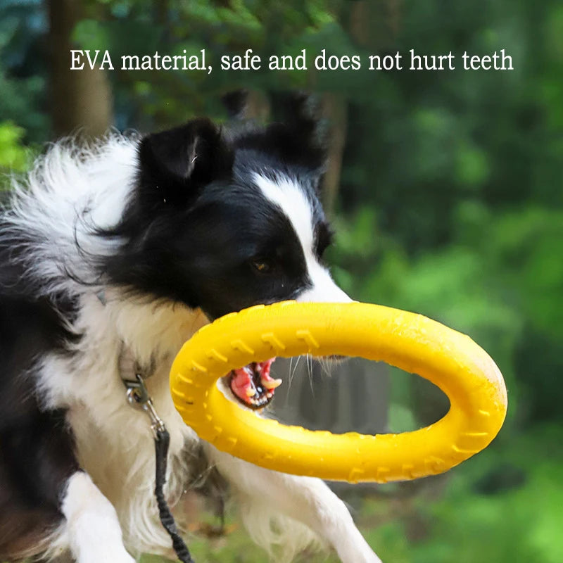 Dog Toys 4 Pack  Flying Disc + Ball + Tug Rope