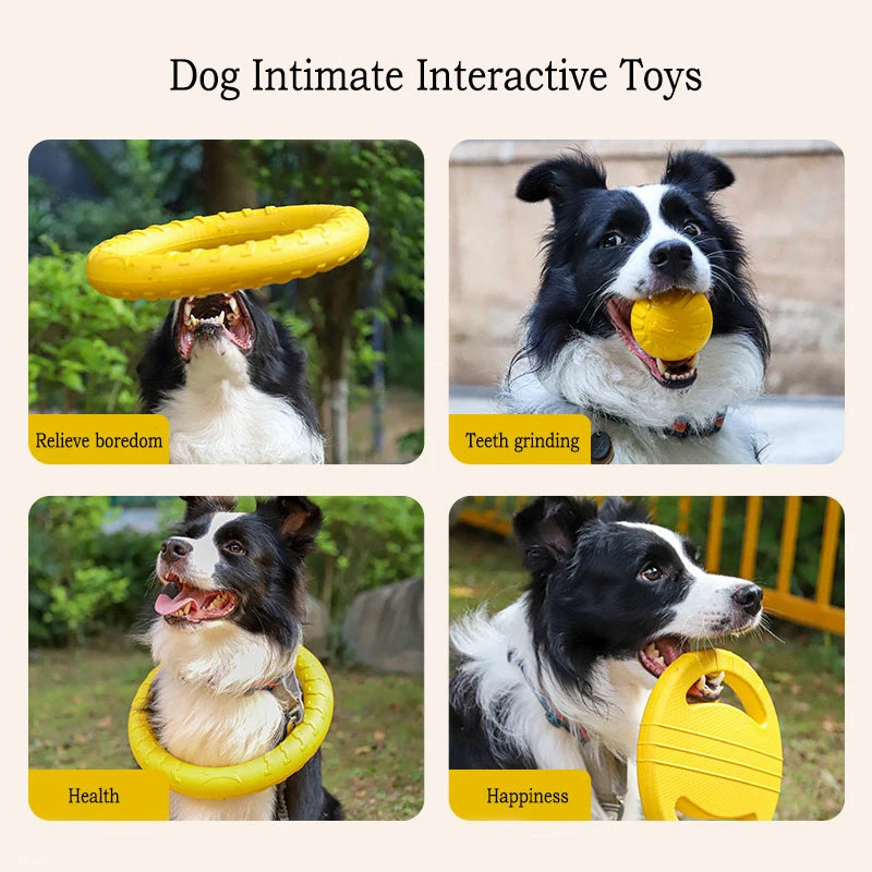 Dog Toys 4 Pack  Flying Disc + Ball + Tug Rope