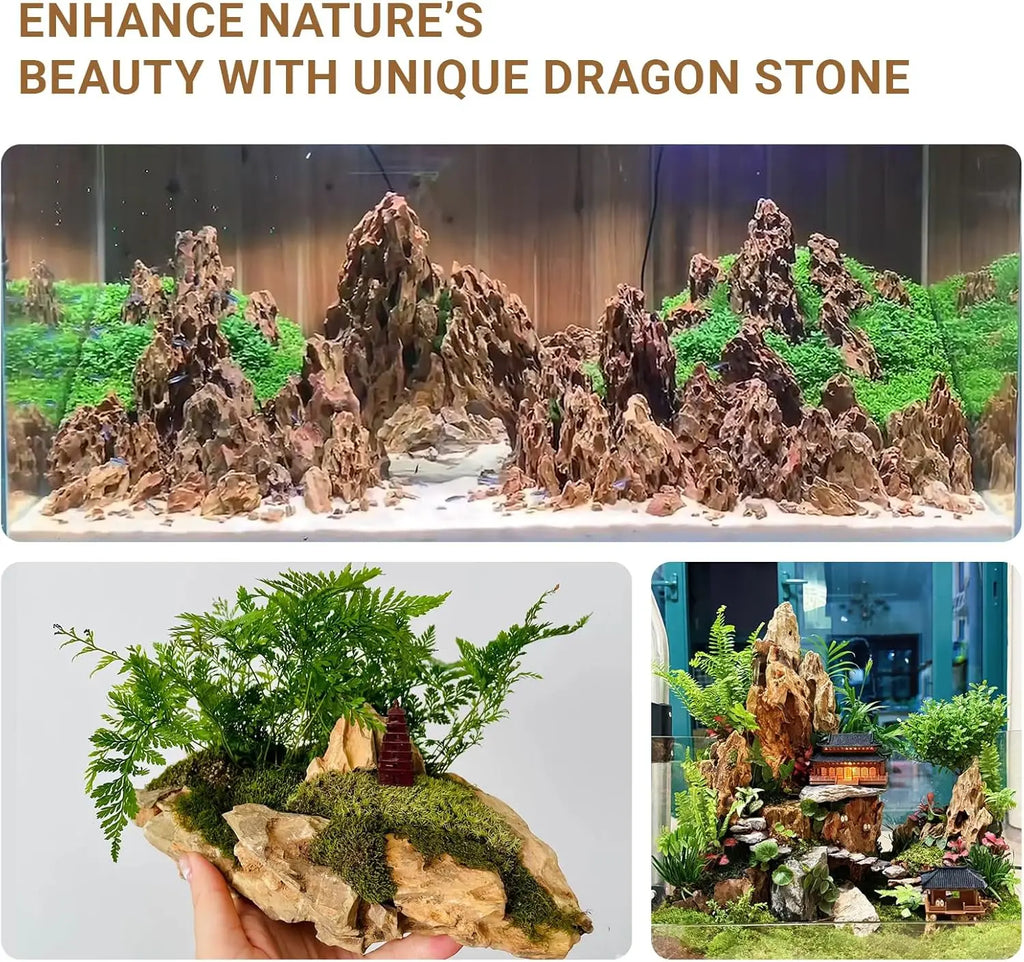 Natural Dragon Stones for Aquarium Decor