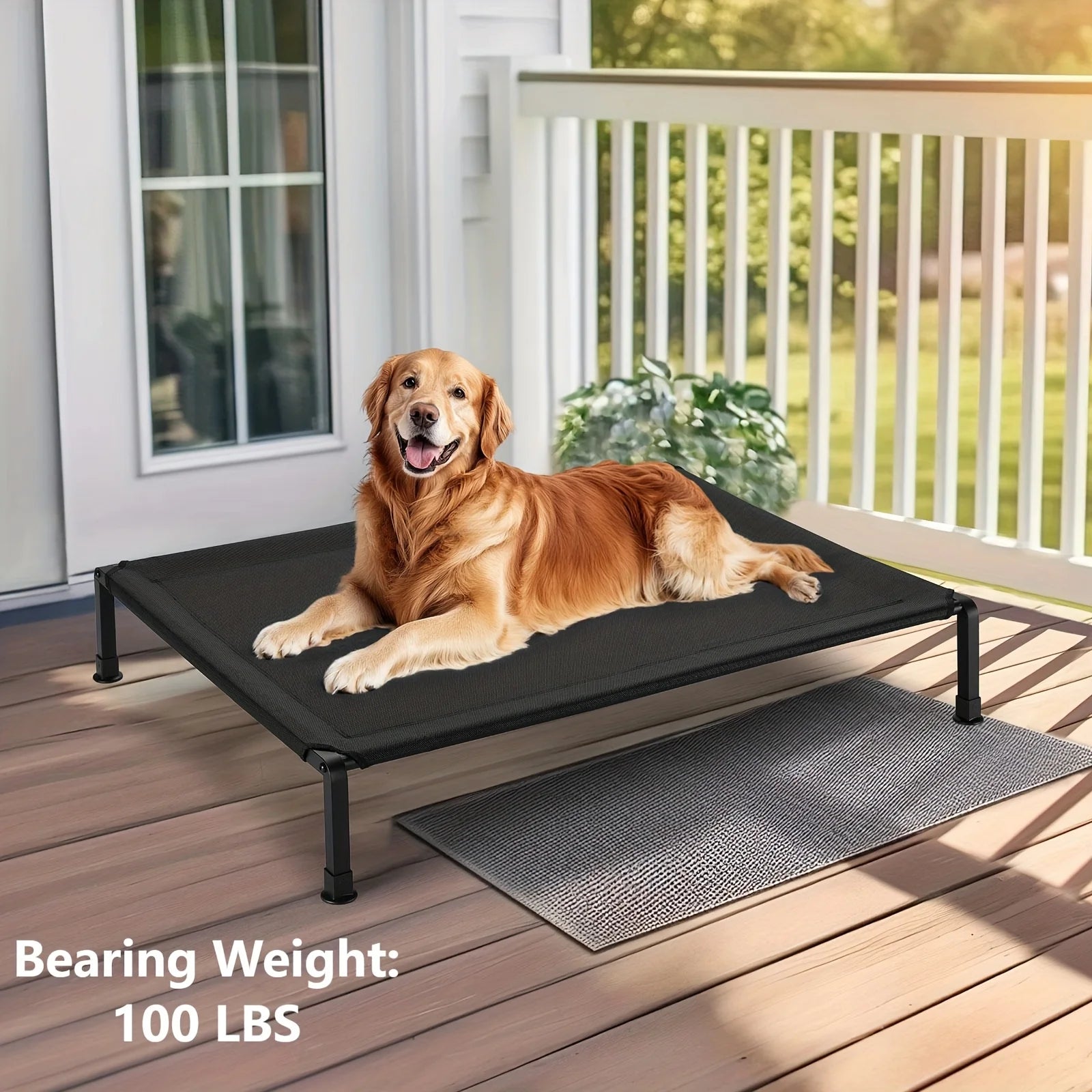 Elevated Dog Bed