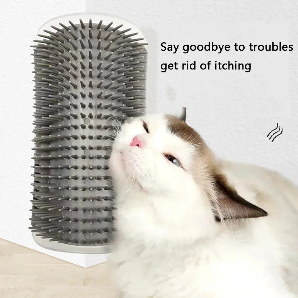 Cat Brush Comb Cat Toy with Catnip