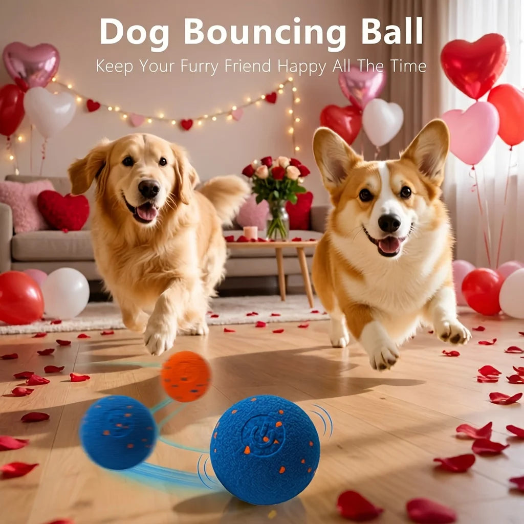 Interactive Dog Toy with Automatic Movement