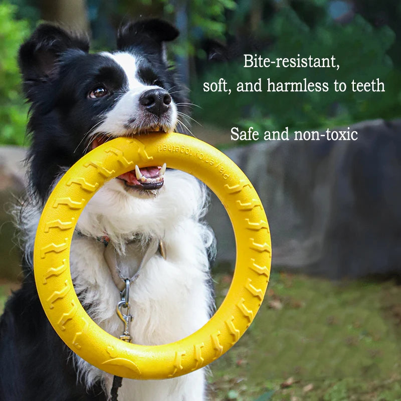 Dog Toys 4 Pack  Flying Disc + Ball + Tug Rope