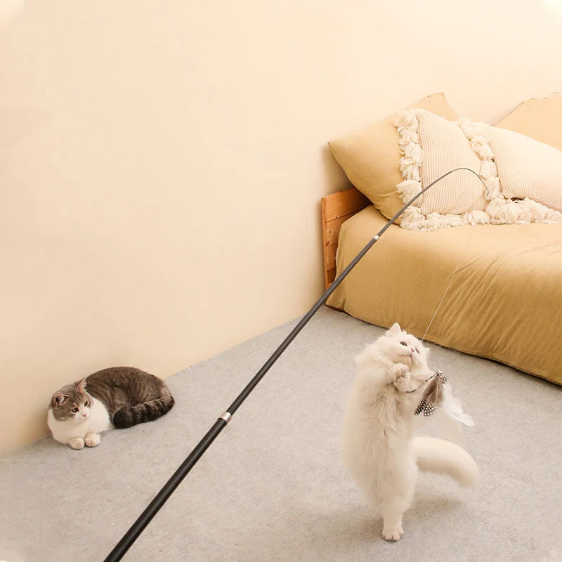 Extended telescopic cat toy