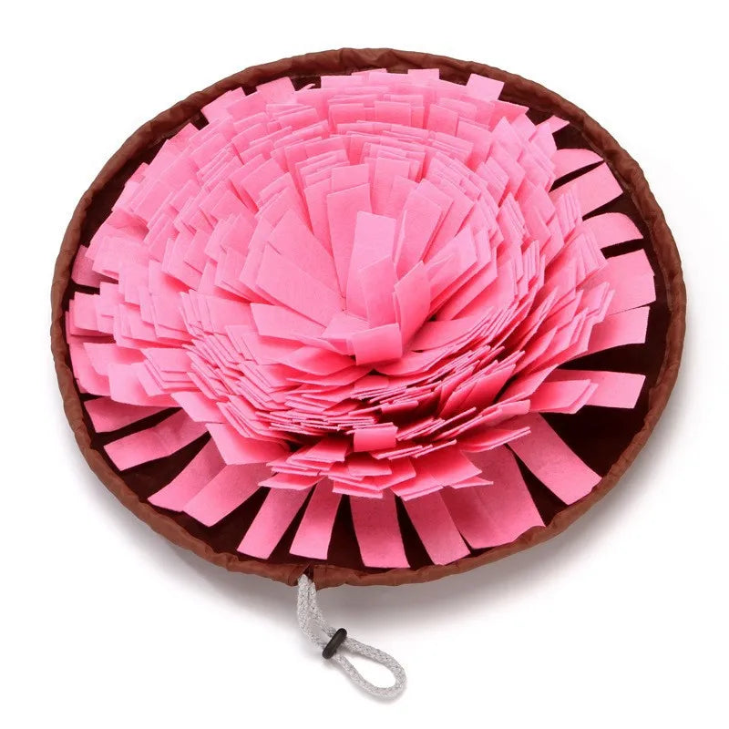 Washable Felt Pet Sniffing Mat