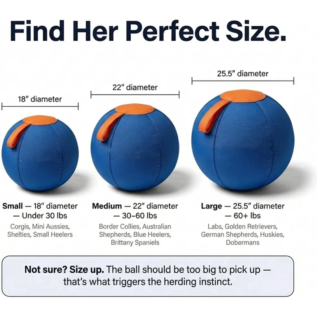 Herding Ball for Dogs, Enrichment Ball