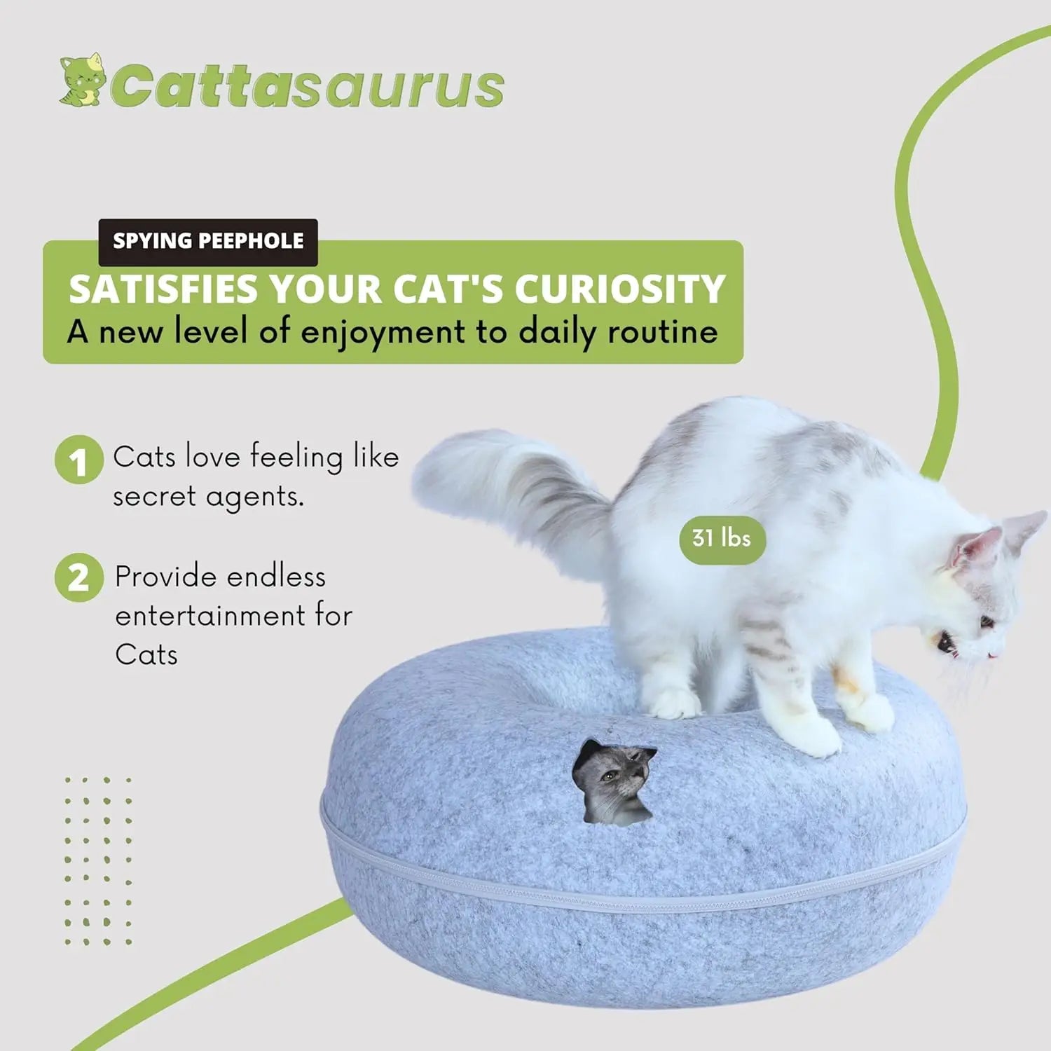Large Cat Bed for Multiple Cats