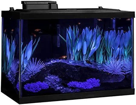 20 Gallon Aquarium Kit with LED Lighting and Decor