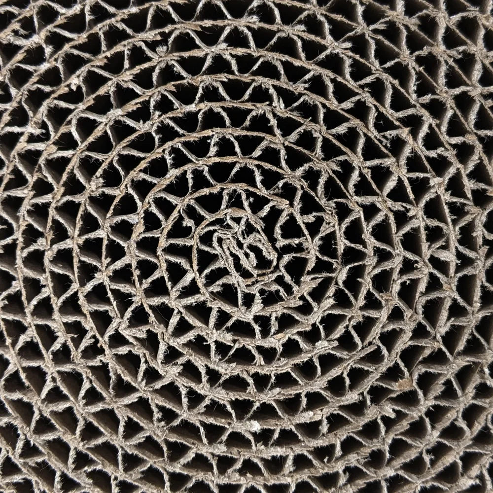 Interactive Cat Scratcher