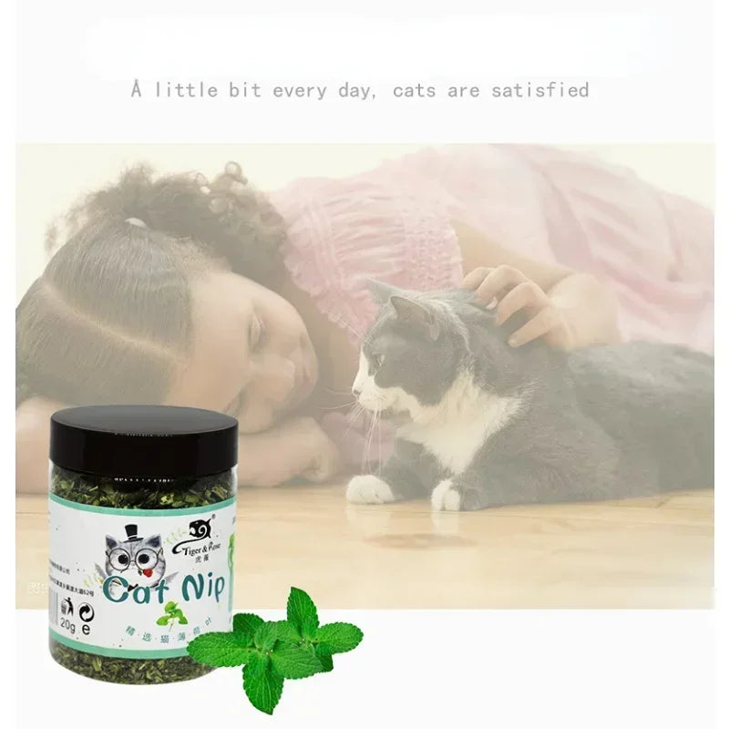 Catnip Cattle Grass Organic