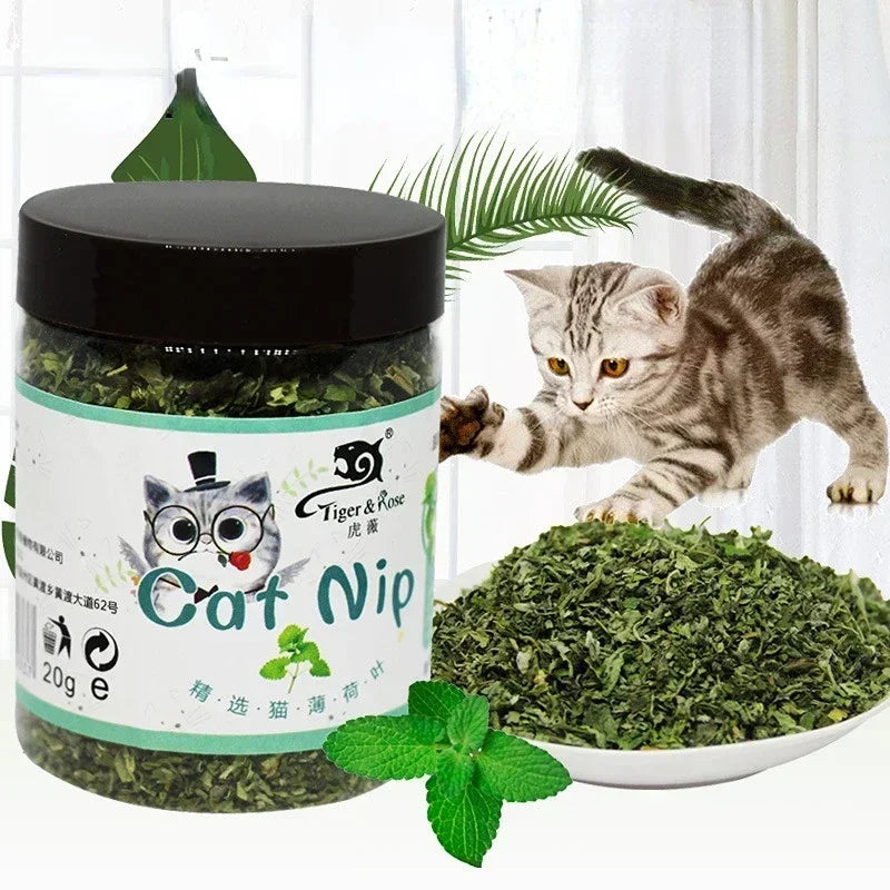 Catnip Cattle Grass Organic