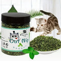 Catnip Cattle Grass Organic
