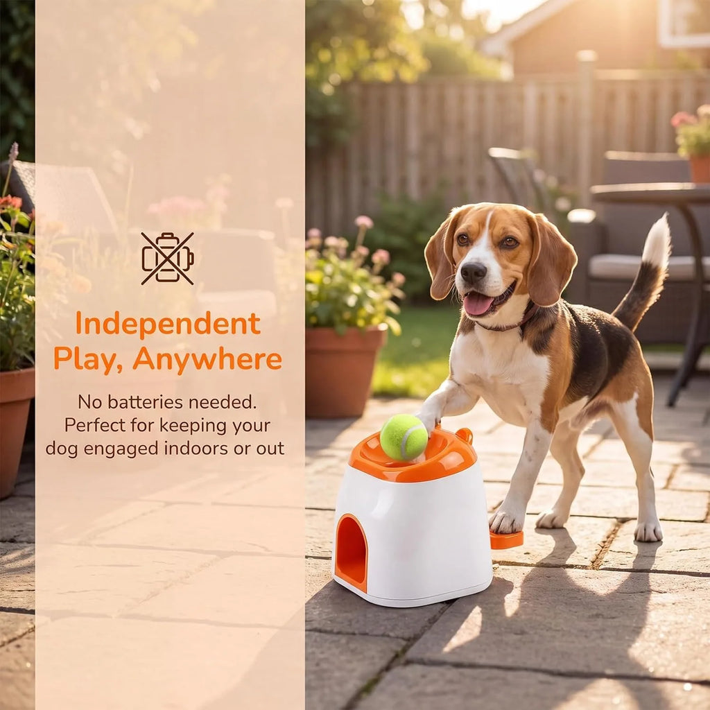 Automatic Dog Ball Launcher & Treat Dispenser