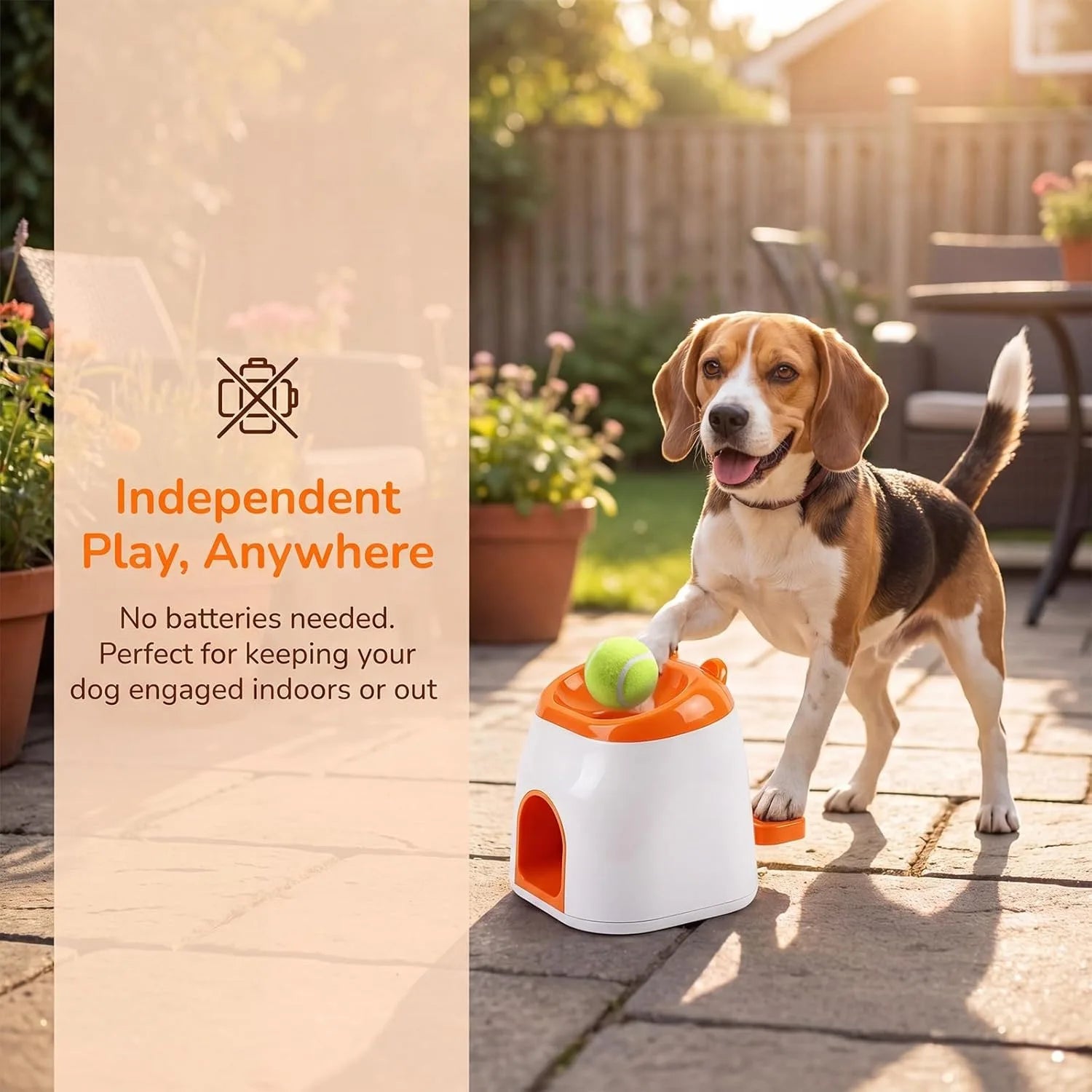 Automatic Dog Ball Launcher & Treat Dispenser