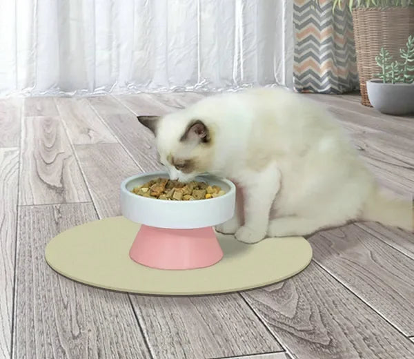 Ceramic Raised Food Bowl