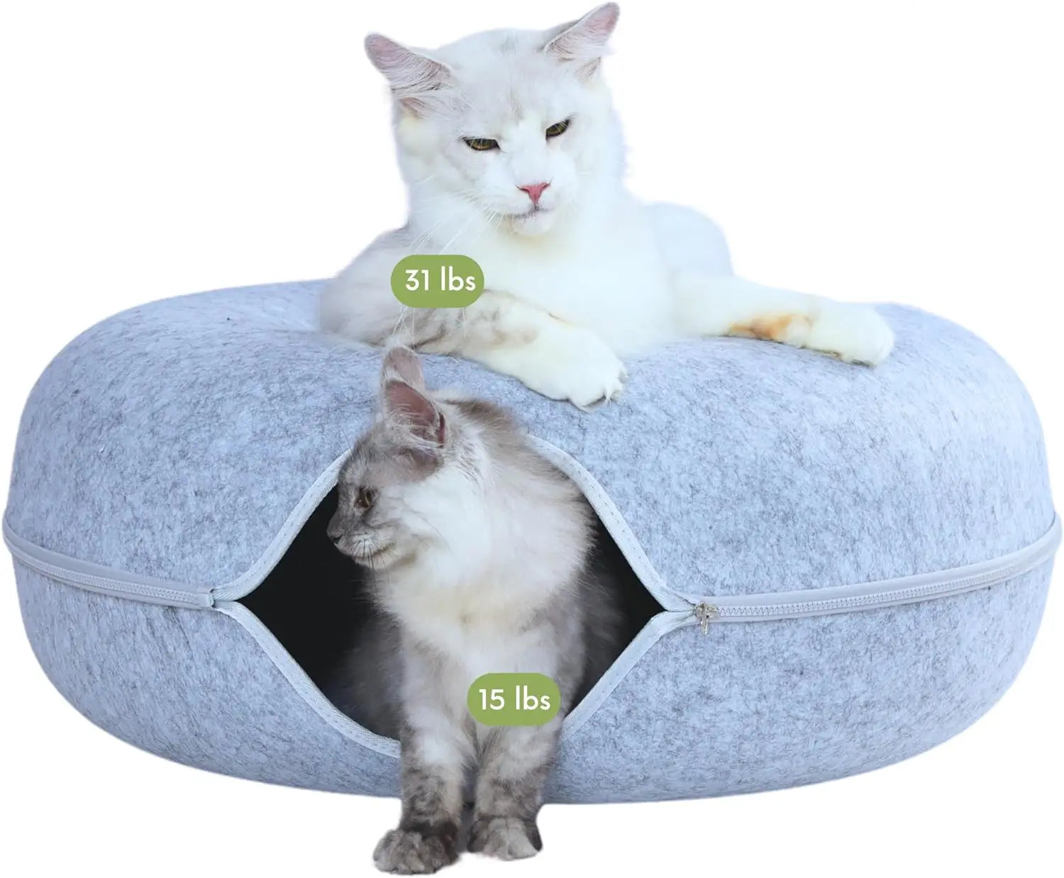 Large Cat Bed for Multiple Cats