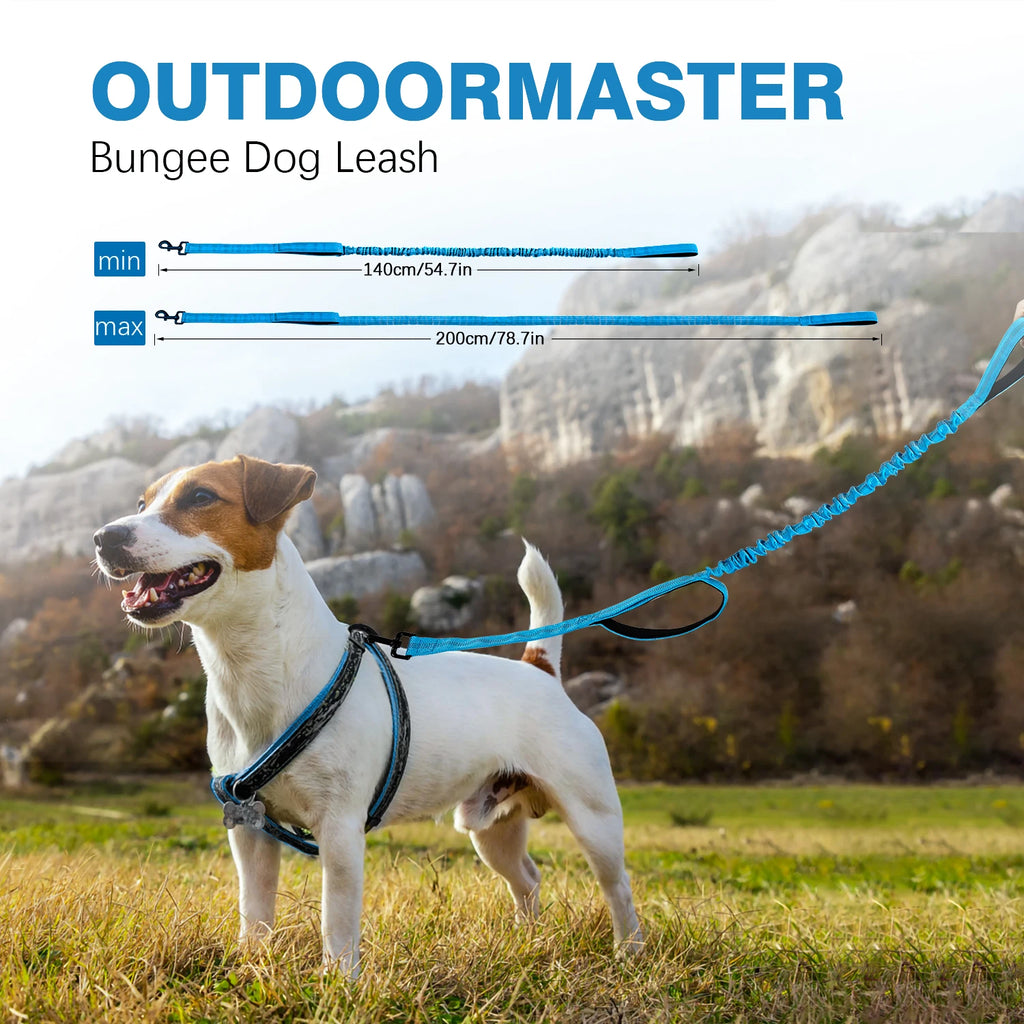 Heavy Duty Bungee Dog Leash