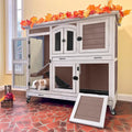 Rabbit Hutch/Small Animal Cage