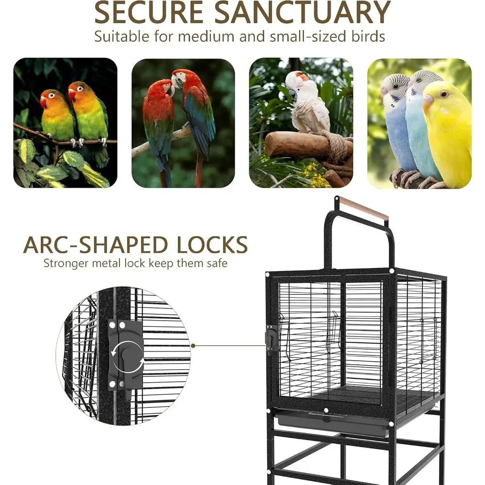 Bird Wrought Iron Cage
