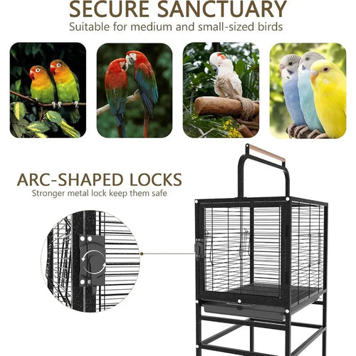 Bird Wrought Iron Cage