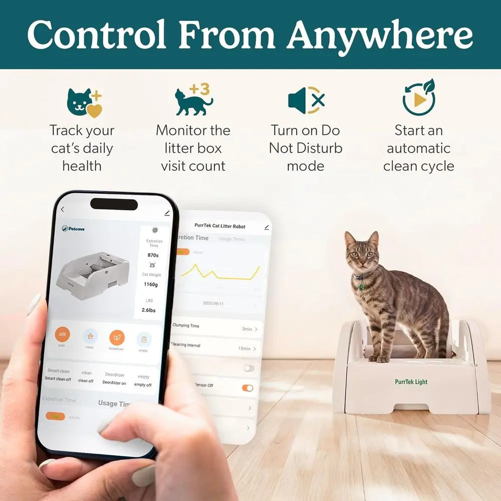 Self Cleaning Litter Box