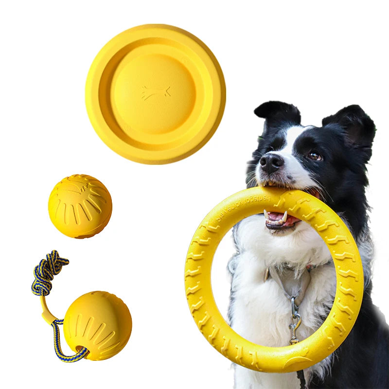 Dog Toys 4 Pack  Flying Disc + Ball + Tug Rope