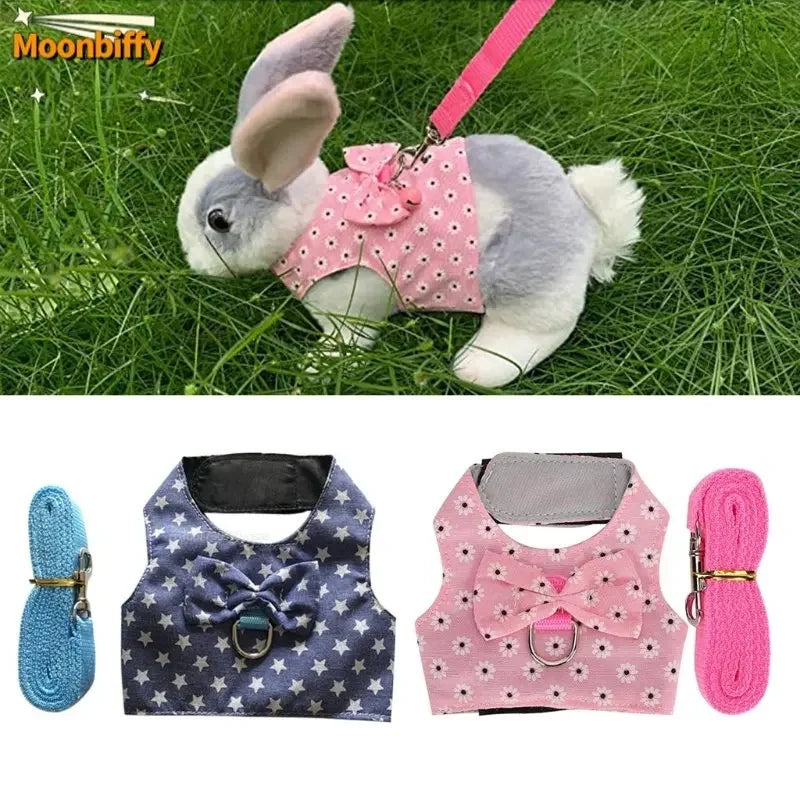Small Animal Outdoor Walking Harness and Leash Set