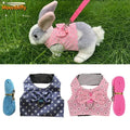 Small Animal Outdoor Walking Harness and Leash Set