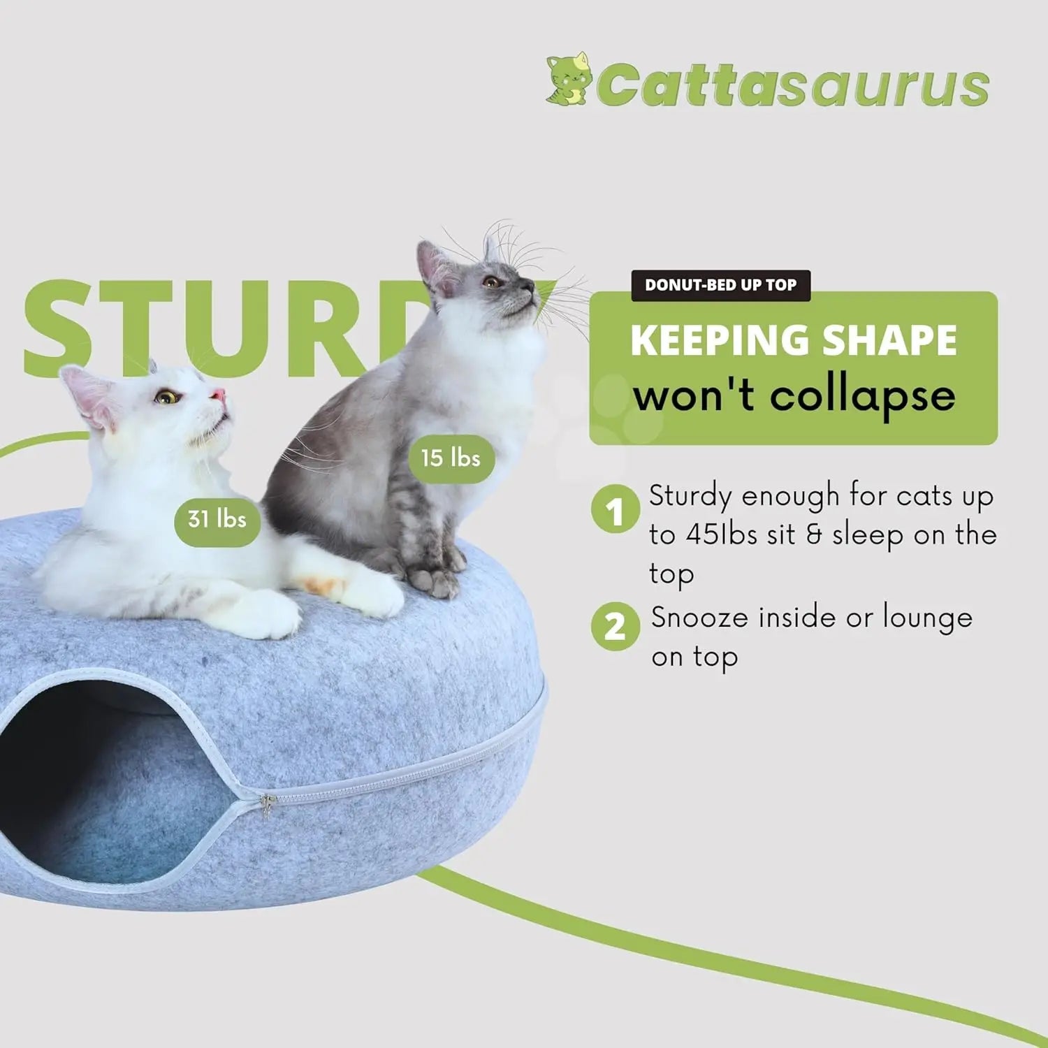 Large Cat Bed for Multiple Cats