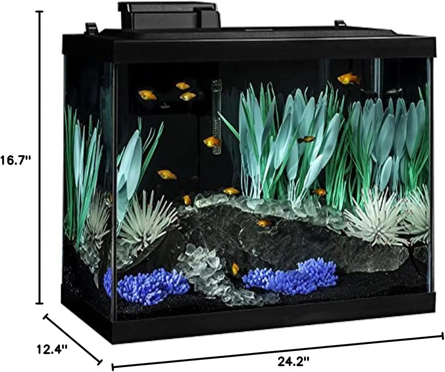 20 Gallon Aquarium Kit with LED Lighting and Decor