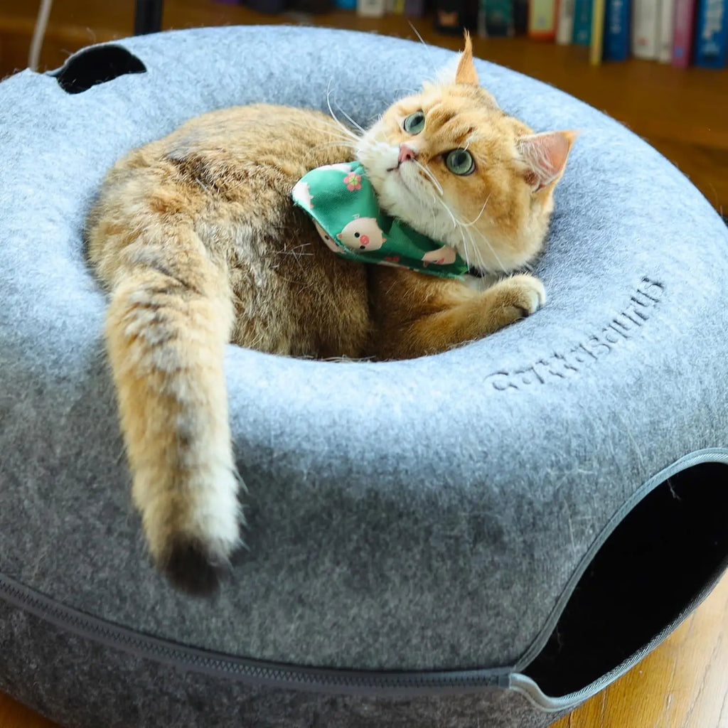 Large Cat Bed for Multiple Cats