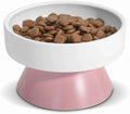 Ceramic Raised Food Bowl