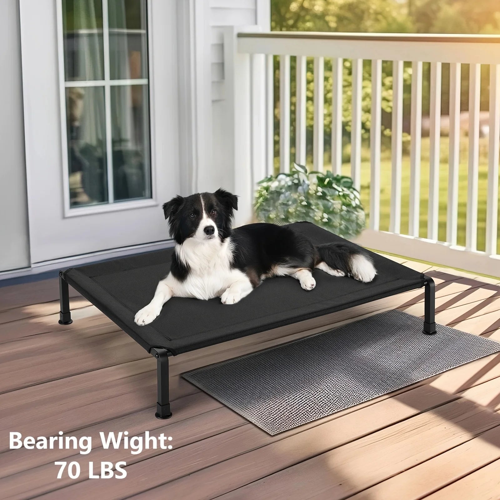 Elevated Dog Bed