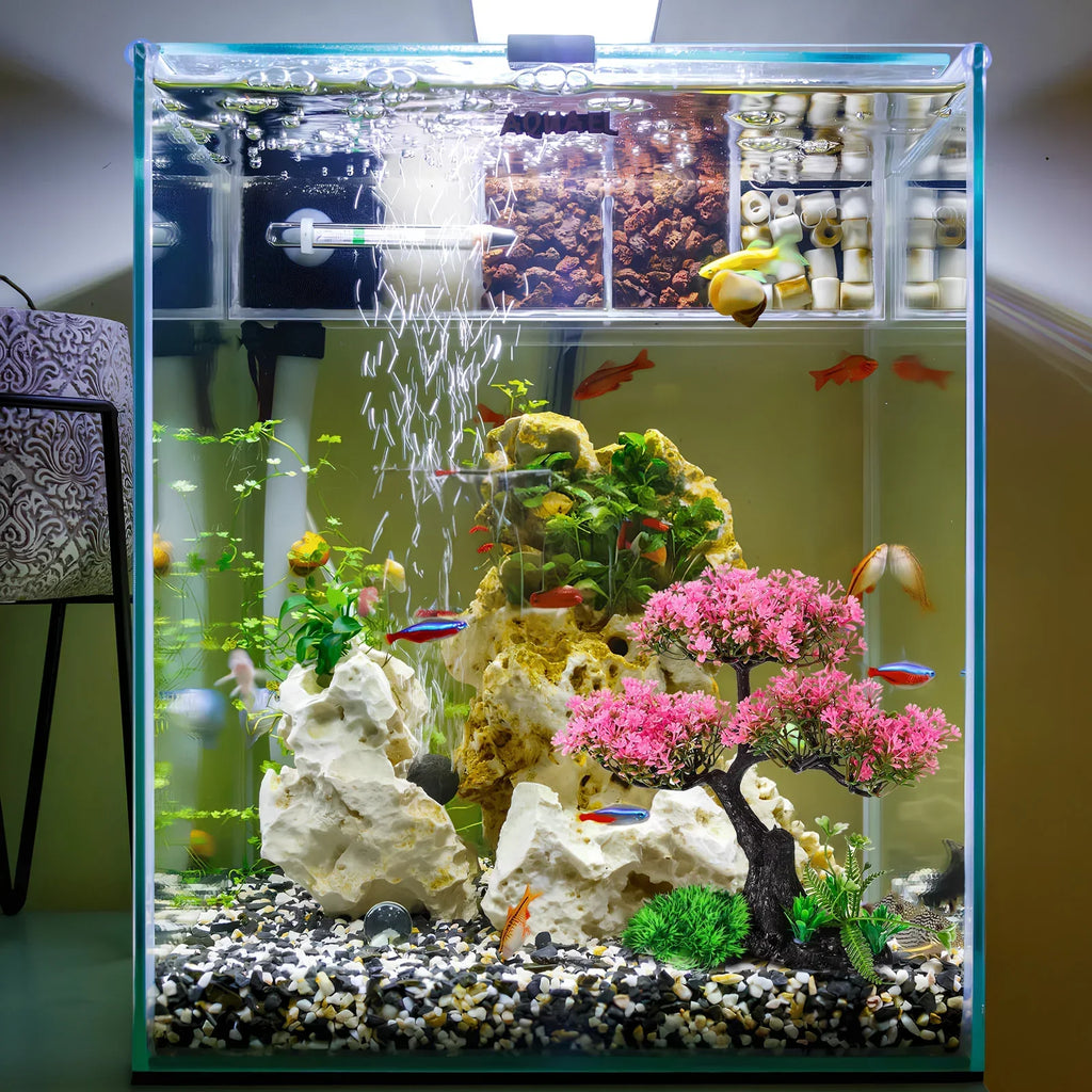Aquarium Plant Accessory Plants