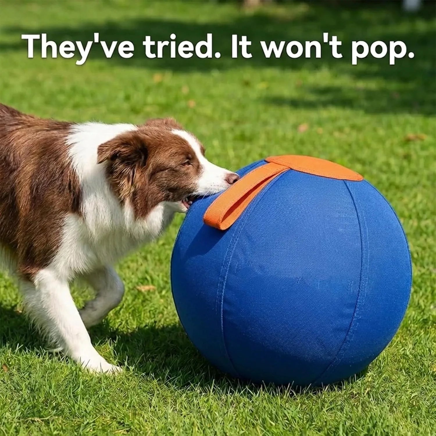 Herding Ball for Dogs, Enrichment Ball