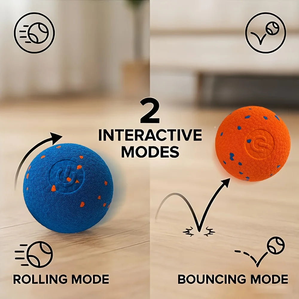 Interactive Dog Toy with Automatic Movement