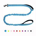 Heavy Duty Bungee Dog Leash