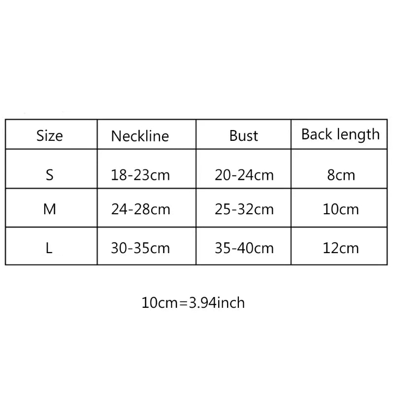 Small Animal Outdoor Walking Harness and Leash Set