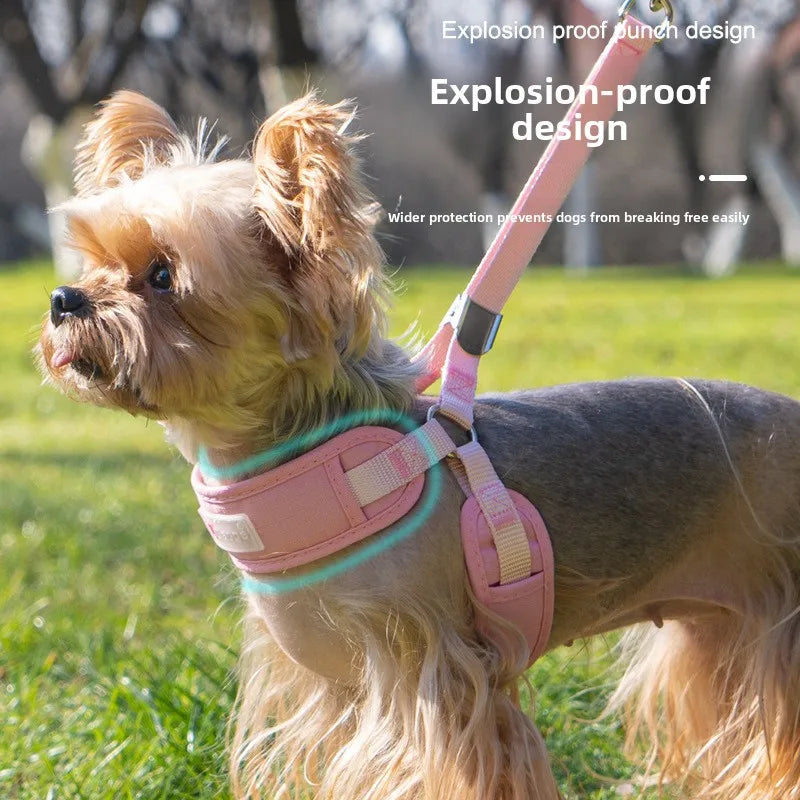 Dog Harness No Pull, Reflective Adjustable Pet Vest, Comfortable Breathable Mesh Puppy Harness with Leash for Small Dogs